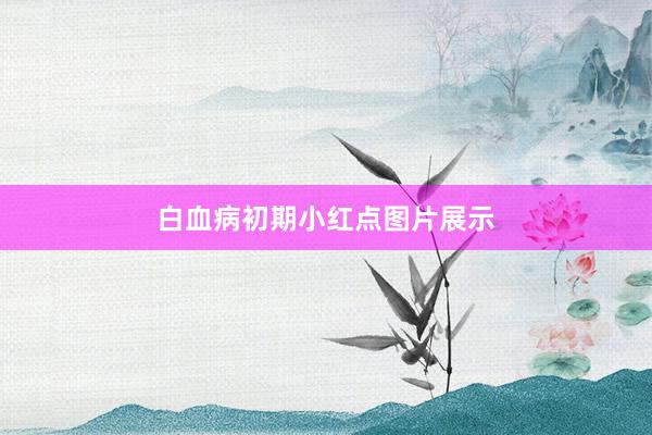 白血病初期小红点图片展示