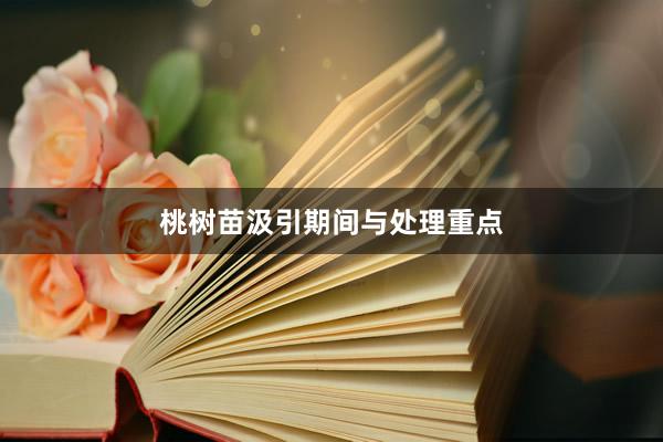 桃树苗汲引期间与处理重点
